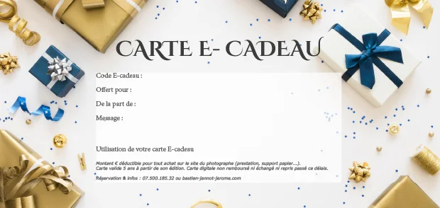 carte ecadeau pdf editable cadeaux bastien jannot jerome